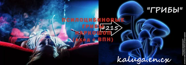 индика Балахна
