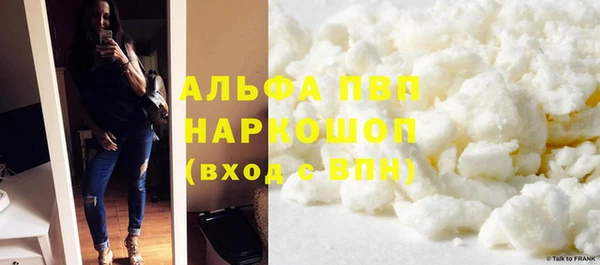 индика Балахна