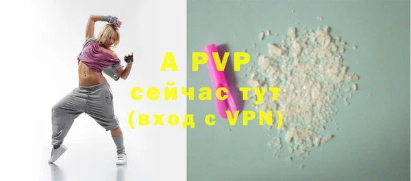 сатива Аркадак