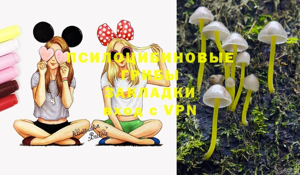 индика Балахна